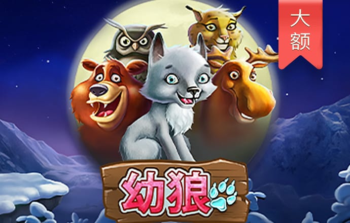 艾尚体育官方入口网站